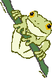 jumpingfrog